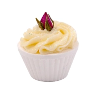 Specialist in sales to professionals of Boîte découverte de fondant de bain Version 1