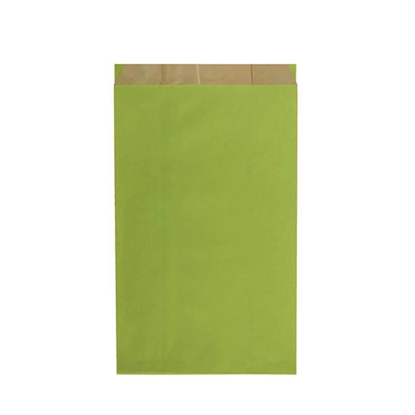 Plain anise green kraft gift bags