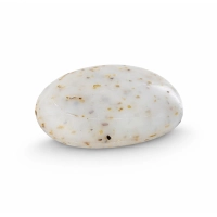 Marseille soap - Alep argan - box 72 