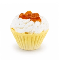 Seashell bath melt - Box of 6